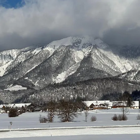 Lejlighed Ferienwohnung Spital Am Pyhrn Schwarz